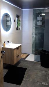La salle de bains est pourvue d'un lavabo et d'une douche. dans l'établissement Nell'aqua, à Seneffe