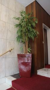 ミラノにあるCasapoleの大鉢植え