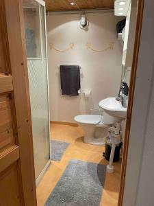 La salle de bains est pourvue de toilettes, d'un lavabo et d'une douche. dans l'établissement Centralt boende, pool, nära till natur & våtmark, à Eskilstuna