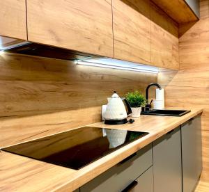 Kuchyňa alebo kuchynka v ubytovaní Apartament Rejs
