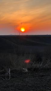 a sunset in a field with the sun in the sky at Домик у реки 