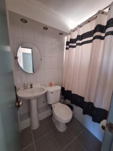Departamento diario Copiapo centrico في كوبيابو: حمام مع مرحاض ومغسلة ومرآة