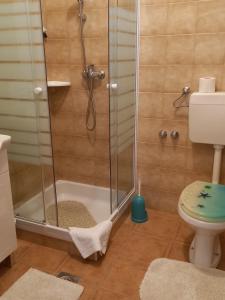 a bathroom with a shower and a toilet at Apartments by the sea Sali, Dugi otok - 8117 in Sali