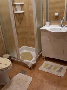 a bathroom with a shower and a toilet and a sink at Apartments by the sea Sali, Dugi otok - 8117 in Sali