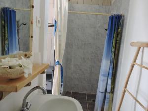 a bathroom with a shower with a toilet and a sink at Pension Taitaa Tubuai in Tubuai