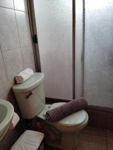 a small bathroom with a toilet and a shower at Cabaña de descanso in Las Cruces