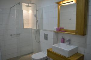 a bathroom with a sink and a shower and a toilet at Holiday house with a parking space Svirce, Hvar - 22571 in Jelsa +11 photos