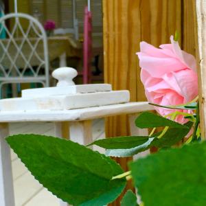 a pink flower in front of a white bench at Its Day One I Do Bridal Dressing Suite in Nassau