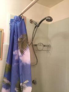 ducha con cortina azul y cabezal de ducha en LINDA HABITACION CON BAÑO Y TERRAZA INDEPENDIENTE, en Torreón
