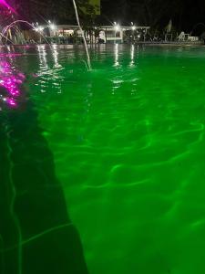 Swimming pool sa o malapit sa Hotel Santa Fe del Paso