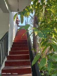 une personne monte dans un escalier rouge avec des arbres dans l'établissement Village View, à Dikwella