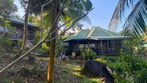 uma casa com um telhado verde numa floresta em Nazri's Place 2 em Ilha Tioman