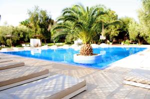 uma palmeira sentada ao lado de uma piscina em La Maison Des Oliviers em Marrakech