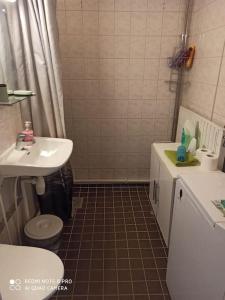 La petite salle de bains est pourvue d'un lavabo et de toilettes. dans l'établissement Korkalonkatu citycenter apartmen, à Rovaniemi