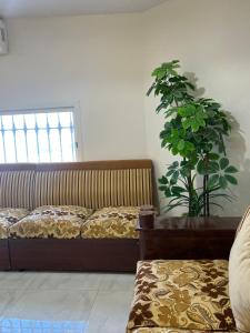 a bedroom with a bed and a potted plant at شاليه 1 in Al Ḩazm