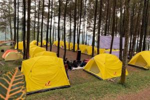 a group of yellow tents in a forest at Genius Level Only Camp in Bukittinggi