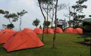 a row of orange tents in a field with trees at Genius Level Only Camp in Bukittinggi