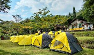 una fila de tiendas amarillas sentadas en un campo en Tapian Asri Camp, en Bukittinggi