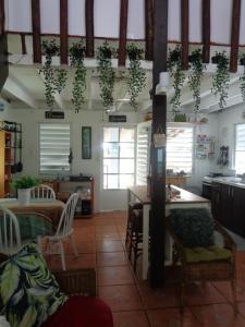 a kitchen with a table and chairs with plants on the ceiling at Bungalow Ocean View wifi in Patillas