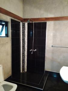 a bathroom with a shower with a toilet and a sink at Green Island Nature lodge and Villa in Kammala South