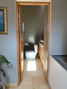 ein Bad mit einem weißen WC in einem Zimmer in der Unterkunft CASA MERO de lujo vacacional in La Paz