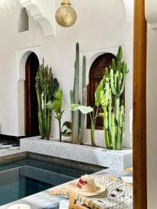 une chambre avec une piscine et des cactus dans l'établissement Riad LallaBaya, à Marrakech