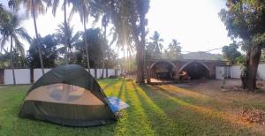 a tent on the grass in a yard with palm trees at Casa Vieja Surf Spa Mizata in La Libertad