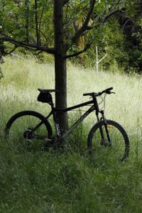 Kenepuru Head的住宿－Ngahere Hou Glamping，停在草地上树旁边的自行车