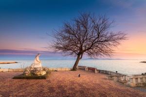 a statue next to a tree and the water at Apartament Marinela 2 in Pomorie