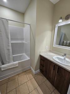 a bathroom with a shower and a sink at Cozy Maison Apt #4 in Gatineau