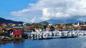 a bunch of boats are docked in a harbor at Lofoten Seaside in Ballstad