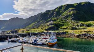 a bunch of boats are docked in a harbor at Lofoten Seaside in Ballstad