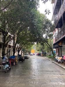 a tree lined street with cars parked on the street at Lazzy inn in Yangshuo