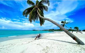 古雷德胡Guraidhoo Palm Inn的坐在海滩上棕榈树下的人