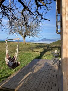 a couple of hammocks hanging from a house at Tiny house in Mislinja