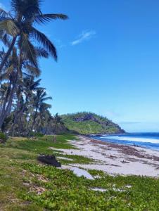 a beach with palm trees and the ocean at CASA COLIVING avec chambre salle de bain individuelles privatives in Saint-Pierre