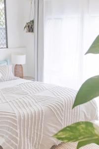 a bedroom with a white bed and a plant at Entire Guest Suite - Close to Beach - Pets Welcome in Gold Coast