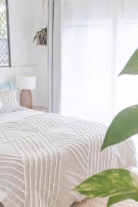 a bedroom with a white bed and a plant at Entire Guest Suite - beach is 1 and half km - Pets Welcome in Gold Coast