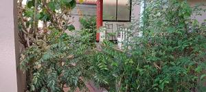 een voordeur van een huis met planten bij Suburbs Holiday Home in Dabolim