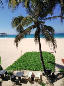 - un palmier et des tables de pique-nique sur la plage dans l'établissement Sea Garden Beach Resort, à Habaraduwa Central