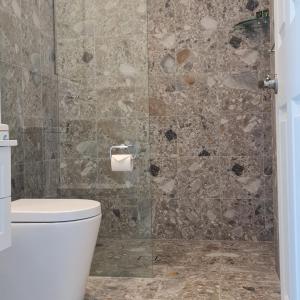 a bathroom with a toilet and a walk in shower at Canyonleigh Retreat in Canyonleigh