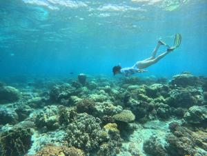 un hombre está nadando sobre un arrecife de coral en Beach hote, en Tanga