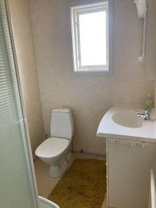 baño con aseo y lavabo y ventana en Solvillan en Blankaholm