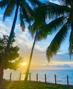 zwei Palmen am Strand mit Sonnenuntergang in der Unterkunft 囍潜Side Effects Dive Resort Dauin in Dauin