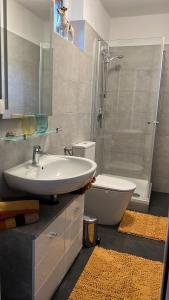 Un baño con lavabo, inodoro y ducha. en Winzerhäuschen Kern, en Fehring