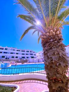 a palm tree in front of a swimming pool at Tropicalidays Sunset Palm in Costa Del Silencio