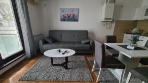 a living room with a couch and a table at Stan Na Dan 022 in Inđija