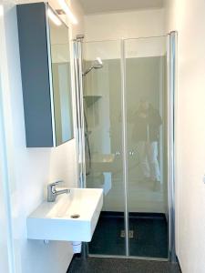 a bathroom with a sink and a glass shower at Vakantiewoningen de Schelp in Renesse