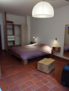 a bedroom with a bed and a table in it at Les Studios de St Guilhem in Saint-Guilhem-le-Désert