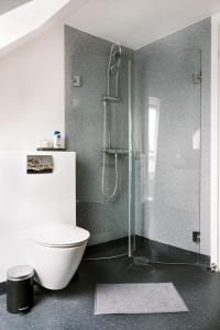 La salle de bains est pourvue de toilettes et d'une douche en verre. dans l'établissement Vila Ana - 2 room apartment, à Vejle